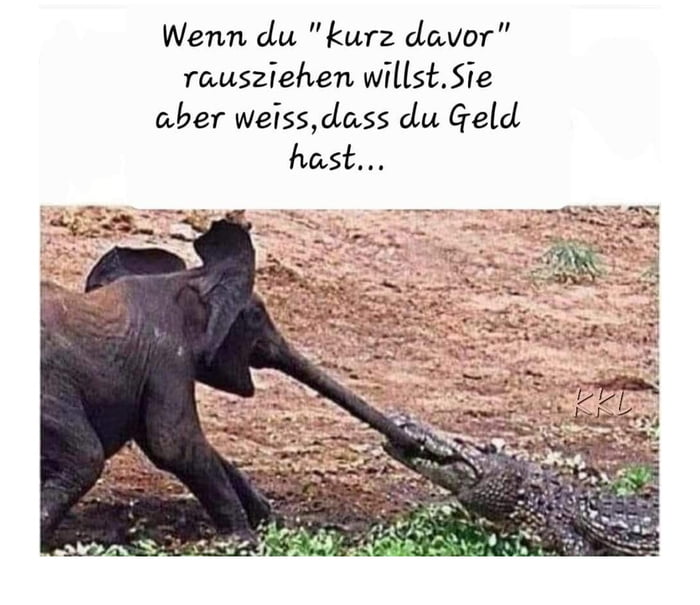 Samenraub 9GAG
