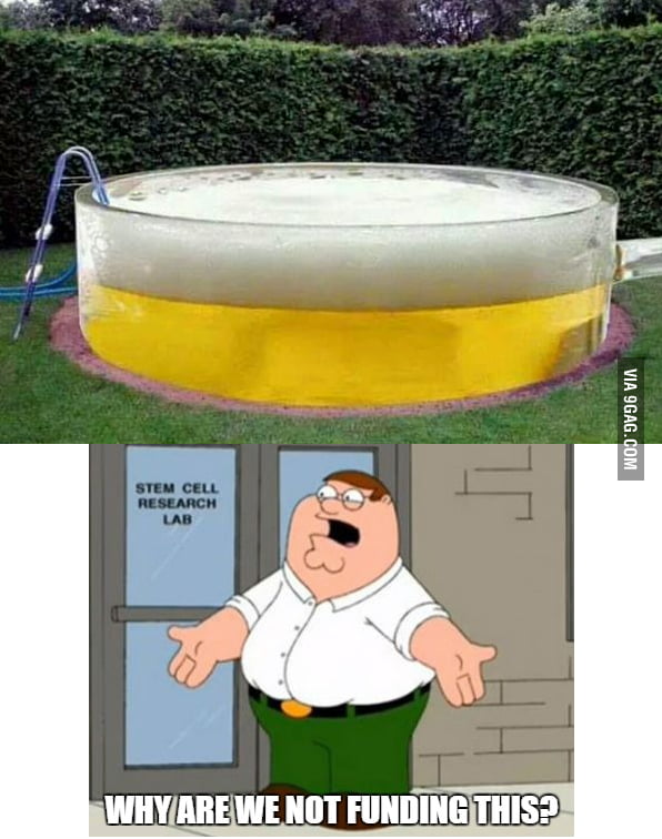 A swimming pool full of beer, would be a dream come true for some