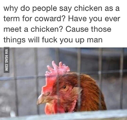 Have You Ever Met A Chicken 9gag 