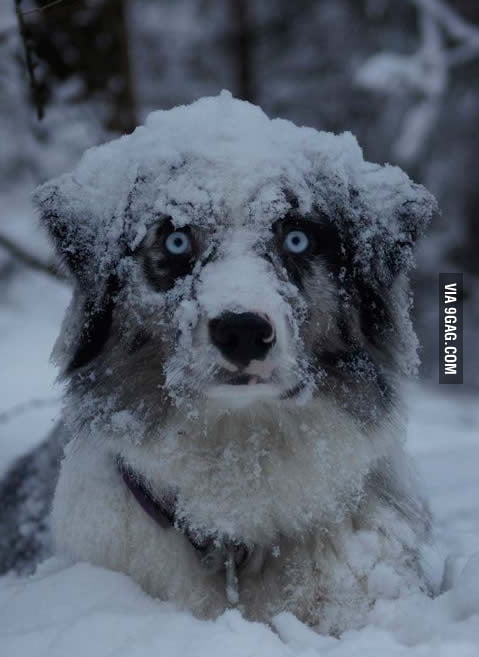 This guy is cosplaying as White Walker from Game of Thrones - 9GAG