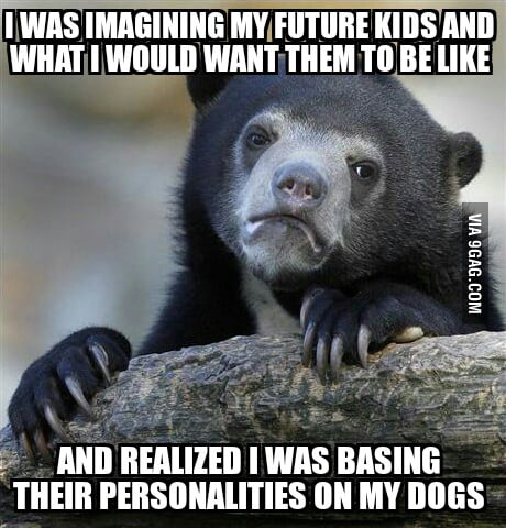 Not sure what to think about this. - 9GAG