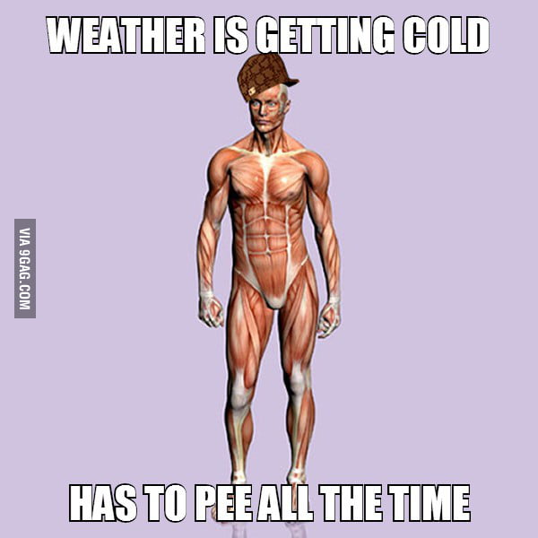 weather-is-getting-cold-has-to-pee-all-the-time-9gag