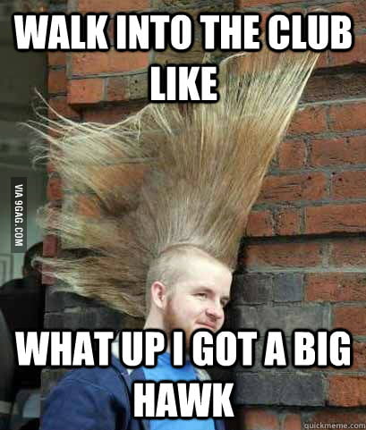 Hope The Carpet Matches The Drapes 9gag