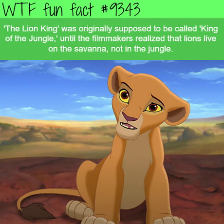 Totally Not Because Lion King Is A Disney Retelling Of Japanese