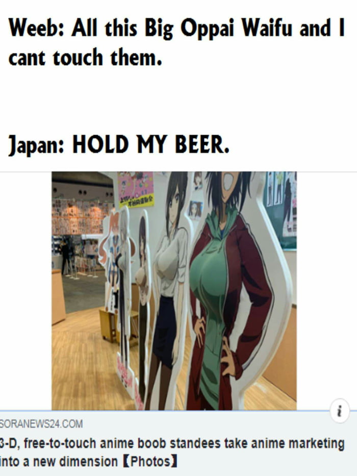 Me Mom I M Going To Japan Mom And Why Me To Touch The Boobs Of My Waifu 9gag