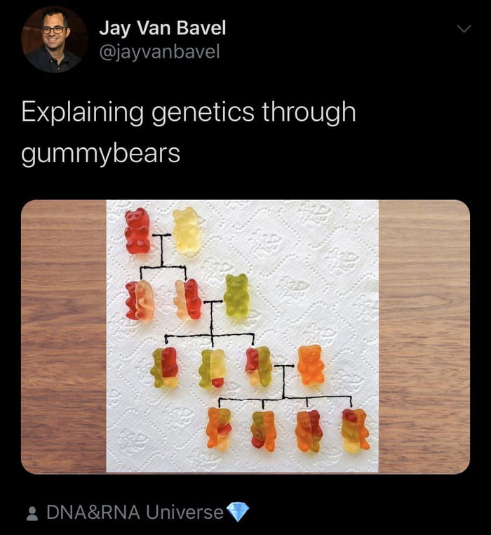 Family tree but it’s gummybears! 9GAG