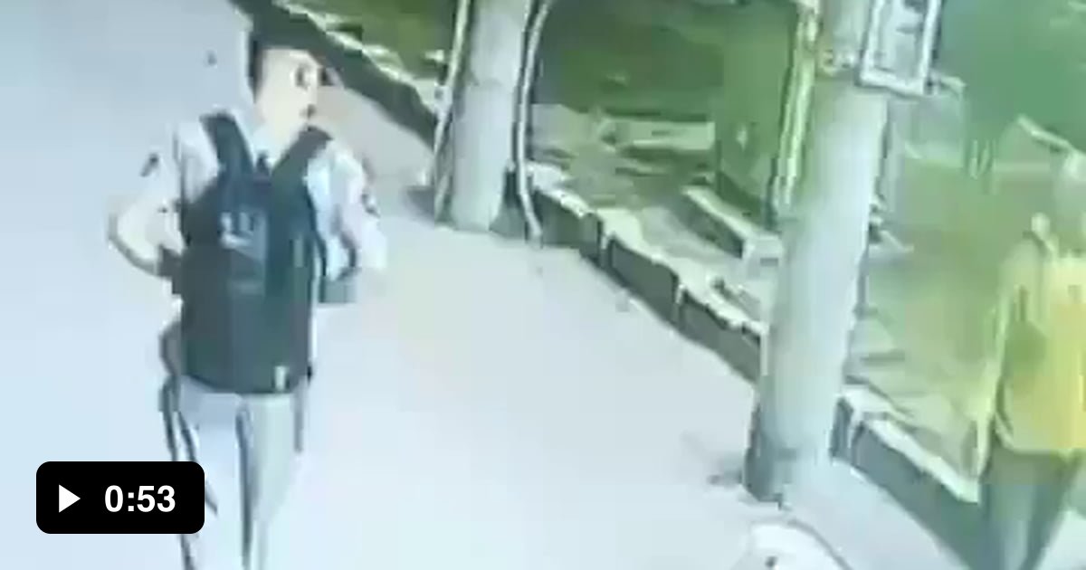 Cat falls of the sky, knocks out a man, immediately starts fighting a dog with shoes 9GAG