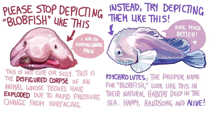 Blobfish memes. Best Collection of funny Blobfish pictures on iFunny Brazil