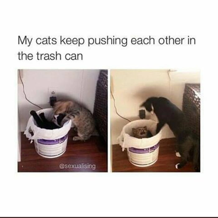 You belong in the trash 9GAG