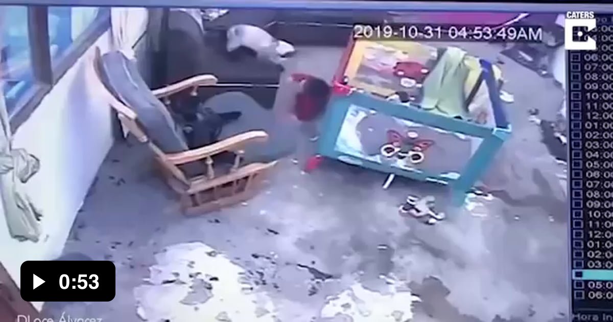 Cat saves toddler from falling down stairs 9GAG