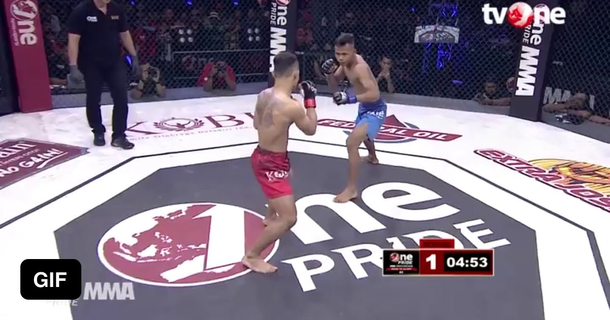 Spinning Head Kick KO 9GAG