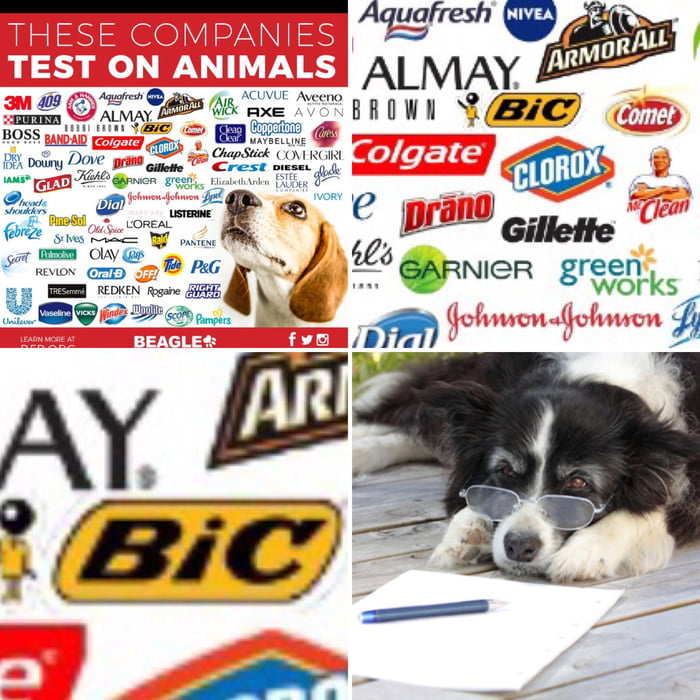 These Companies Test On Animals 9GAG   AGexge7 700b 