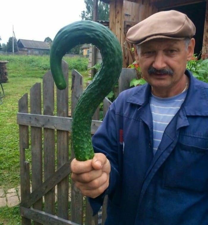Behold: The Russian Riddler aka the Crimean Cucumber - 9GAG
