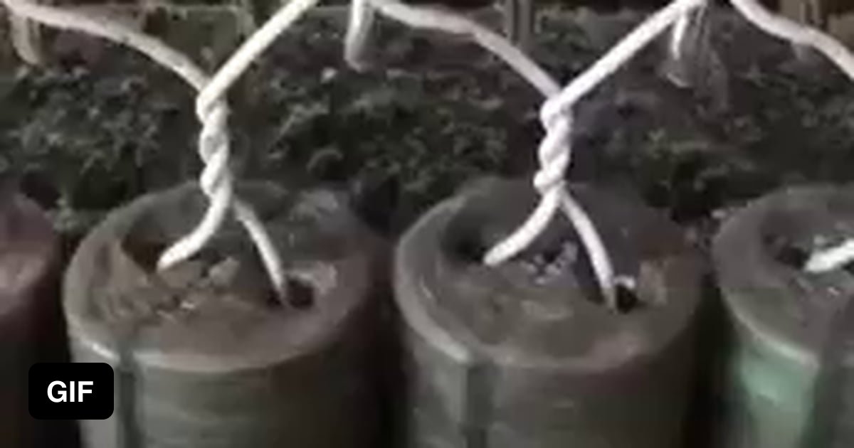 Oddly satisfying - 9GAG