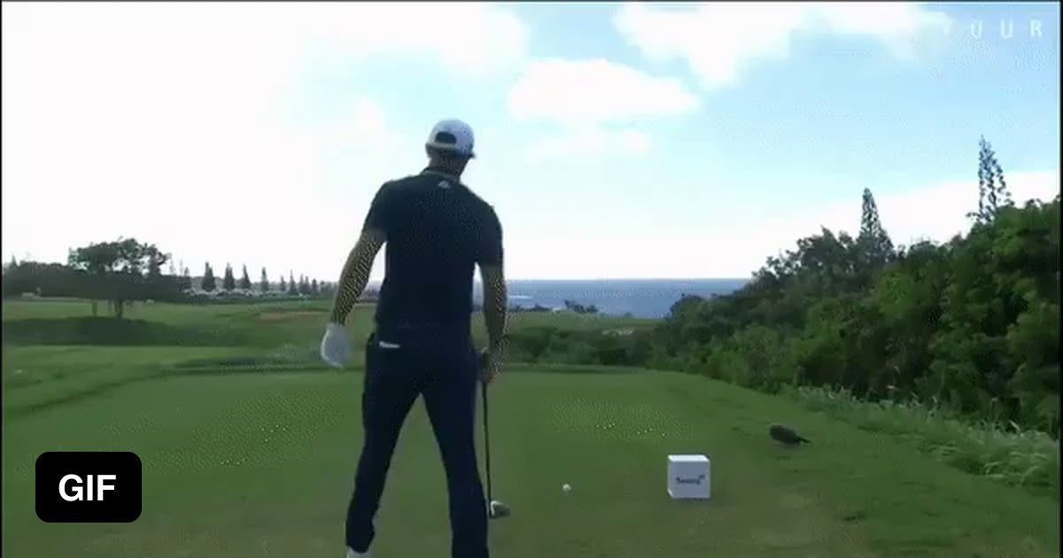 Dustin Johnson misses a holeinone on the 433 yard long 12th at