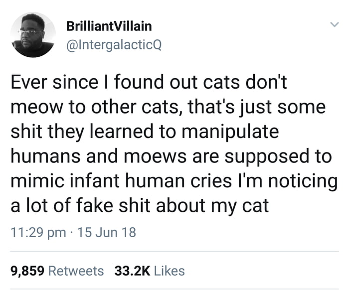 Cats are evil 9GAG