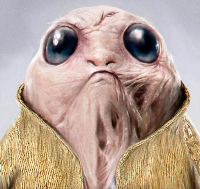  Supreme  leader porg  9GAG