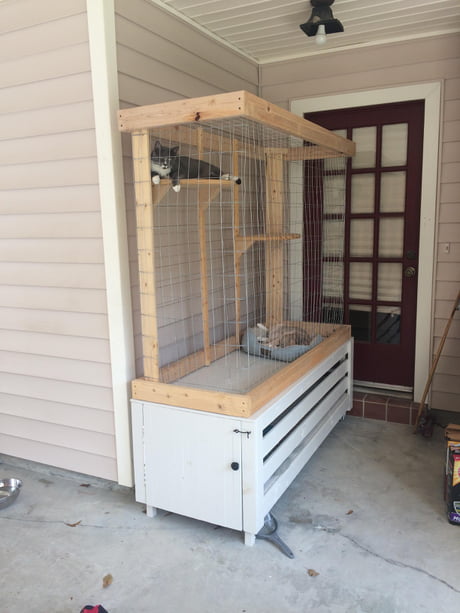 My Boyfriend Built The Cats An Outdoor Hang Out He Put A Doggie