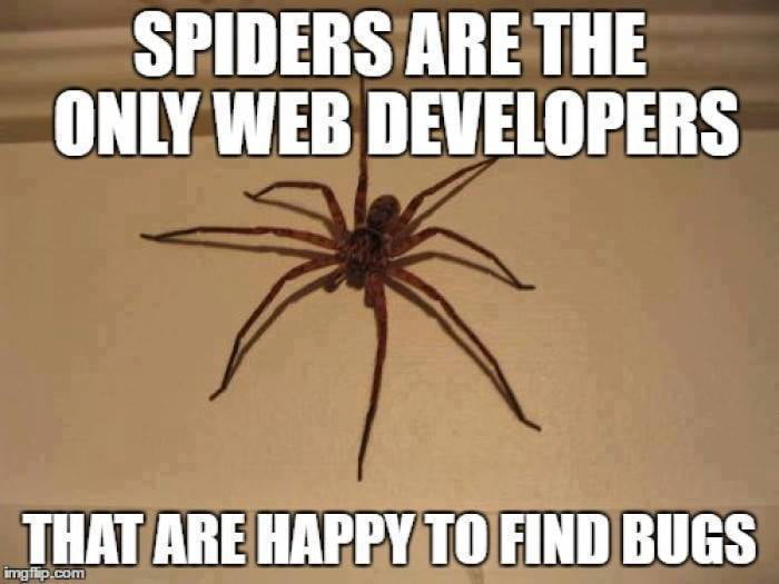 Spiders are the only web developers - 9GAG