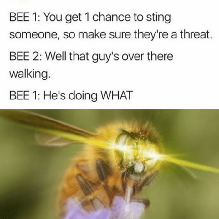 I love bees - 9GAG