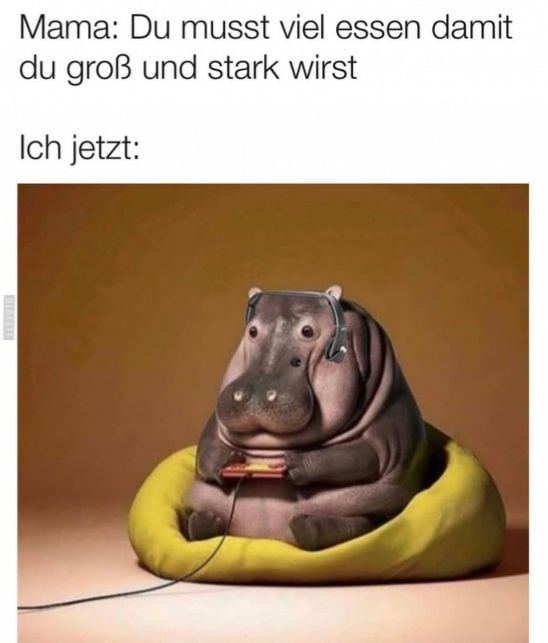 Schöne Scheiße! 9GAG