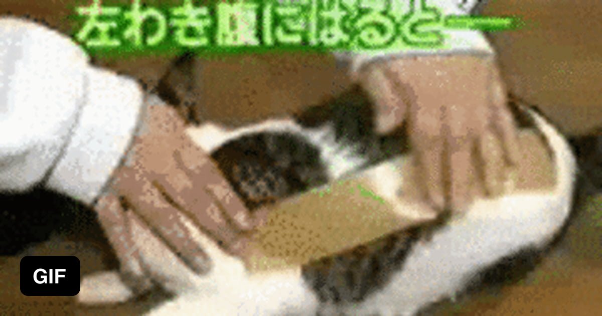 Кот и скотч