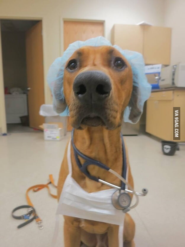 hello-my-name-is-leroy-and-i-will-be-your-nurse-this-evening-9gag