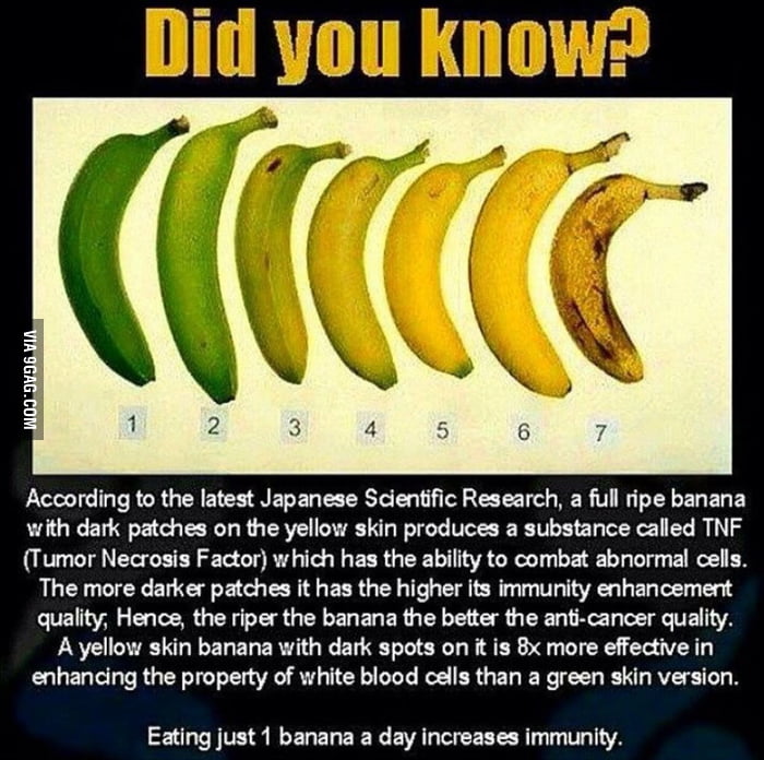 Real Bananas Have Black Spots Support Ugly Bananas 9gag
