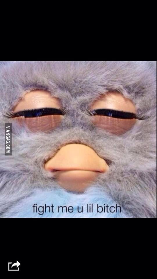 furby meme fight me