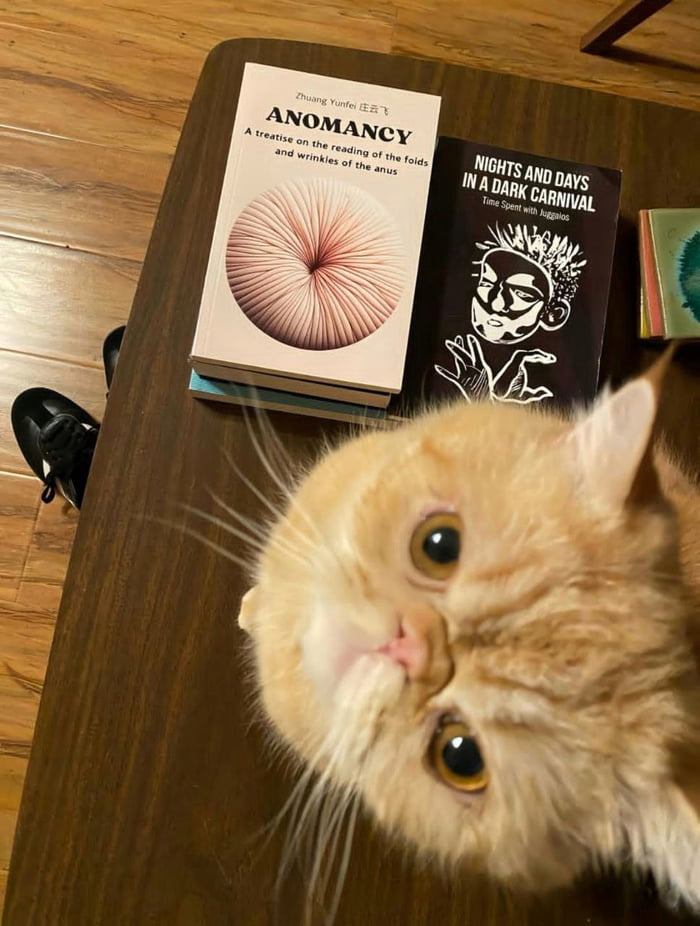 A cat that reads is a well-informed cat - 9GAG