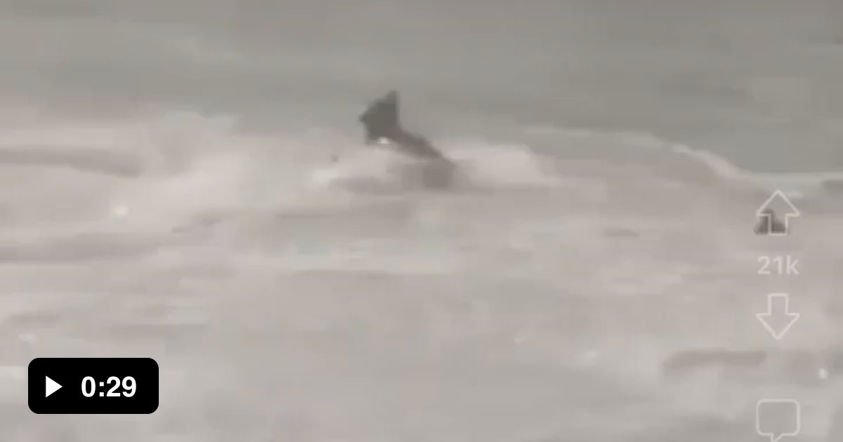 Man on jet ski rescues swimmer just in time 9GAG