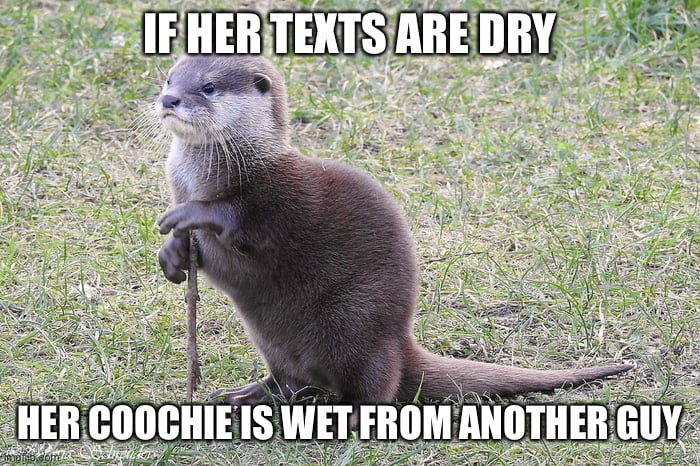 Wise Otter - 9GAG