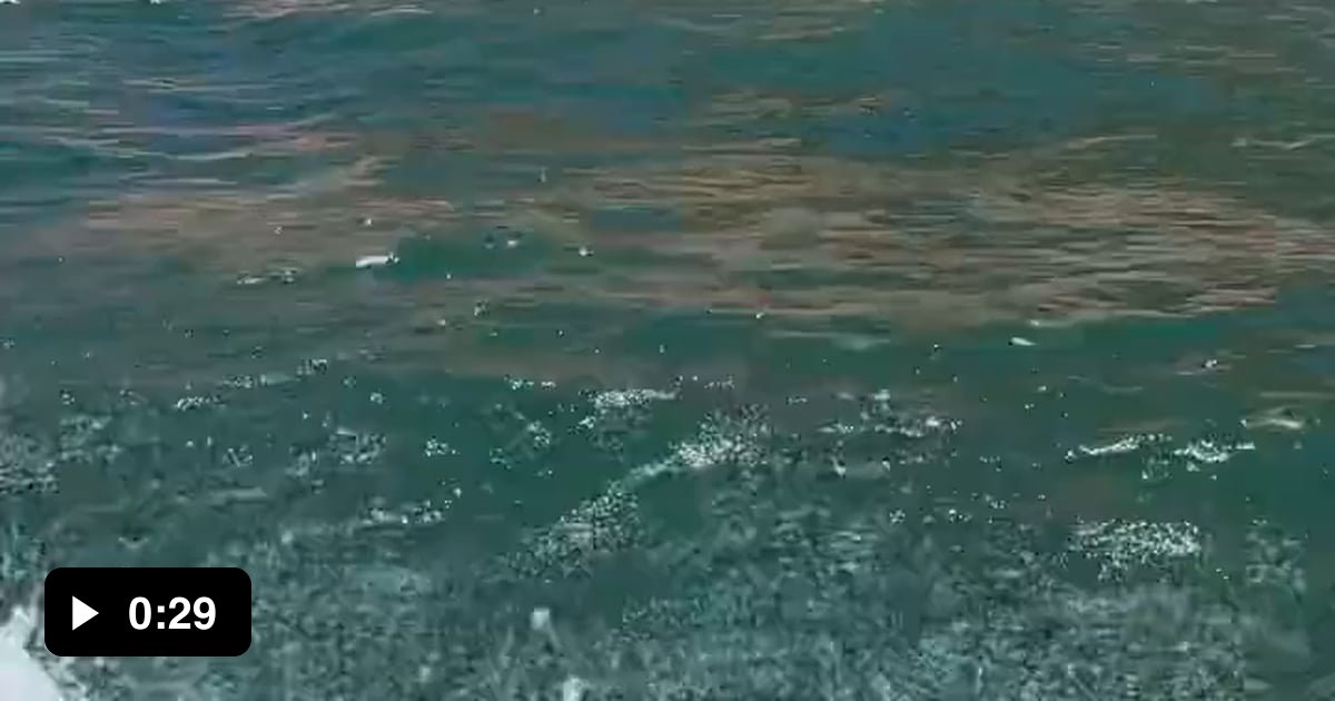 Vacationers on a lake in Arizona accidentally filmed a giant rock ...