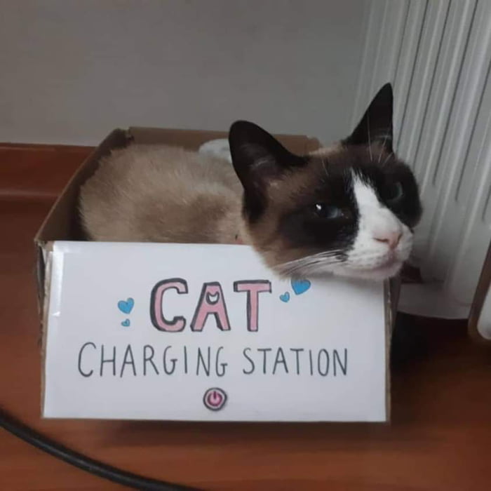 Cat charging station 9GAG