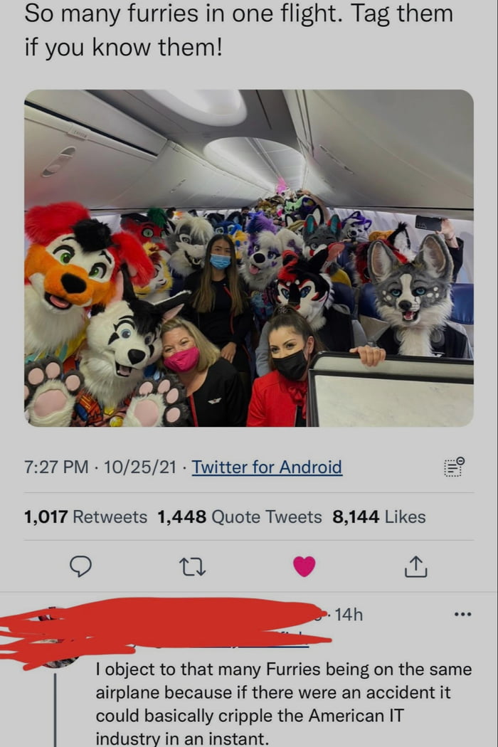 there-a-huge-overlap-of-programmers-furries-and-femboys-9gag
