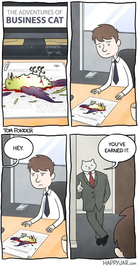Cat - 9GAG