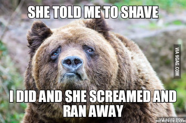 Look up shaved bear - 9GAG