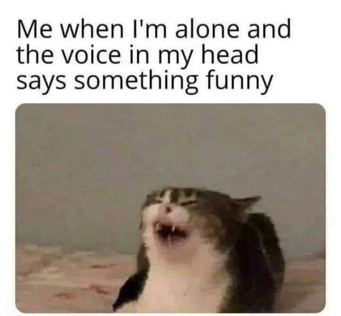 Who else is going to make me laugh - 9GAG