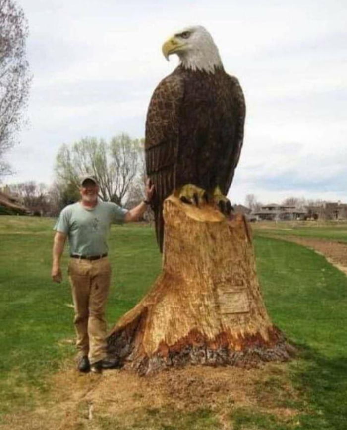 Chainsaw Carving By Charles Chetwynd Gag