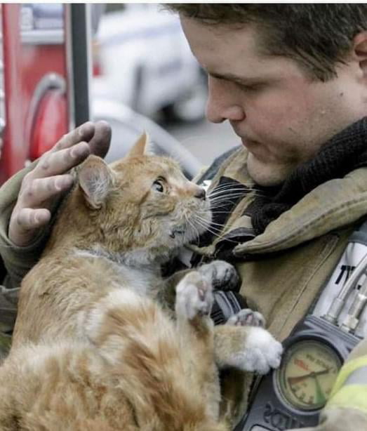 Cat with the fireman that saved him. - 9GAG