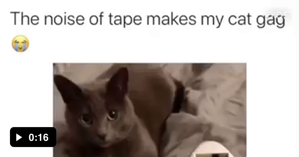 Cat Gagging 9GAG