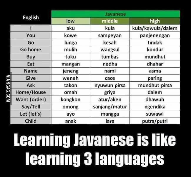 You to like learning languages