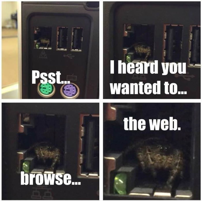 The world wide web - 9GAG