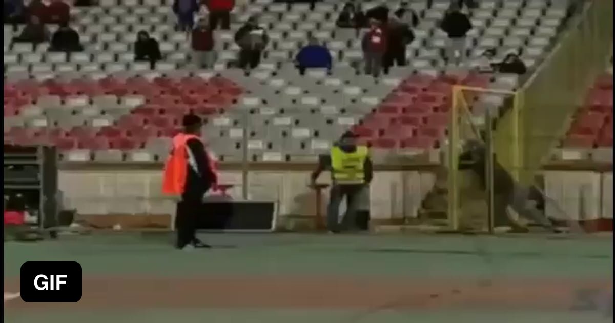 Why Don't Doors Open Outwards at Clayton Brooks blog