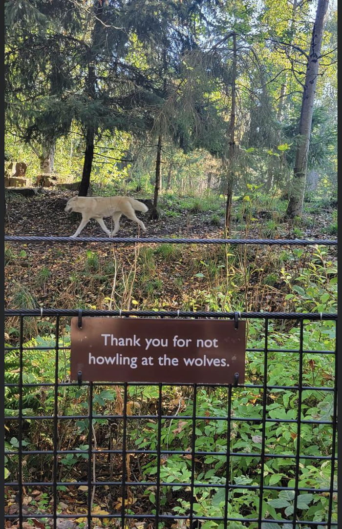 One talented wolf - 9GAG
