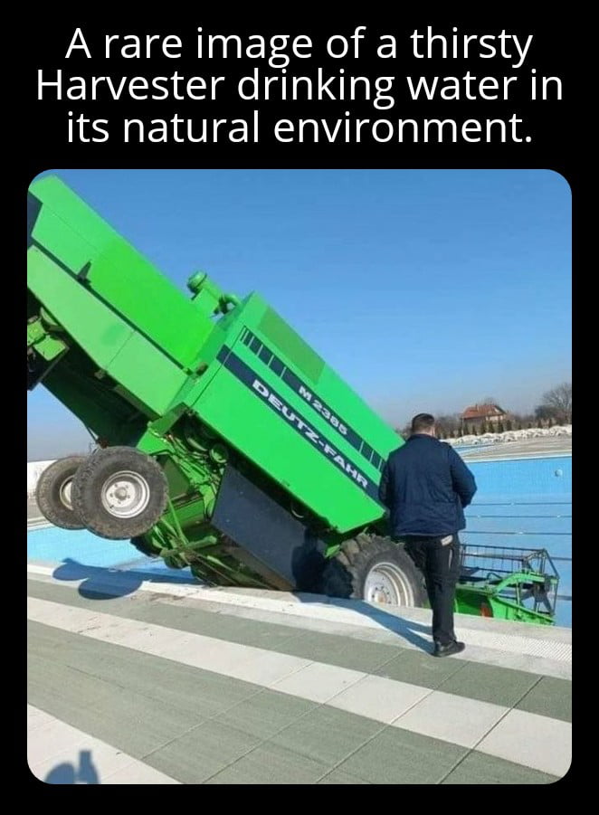 Fascinating behavior indeed 9gag