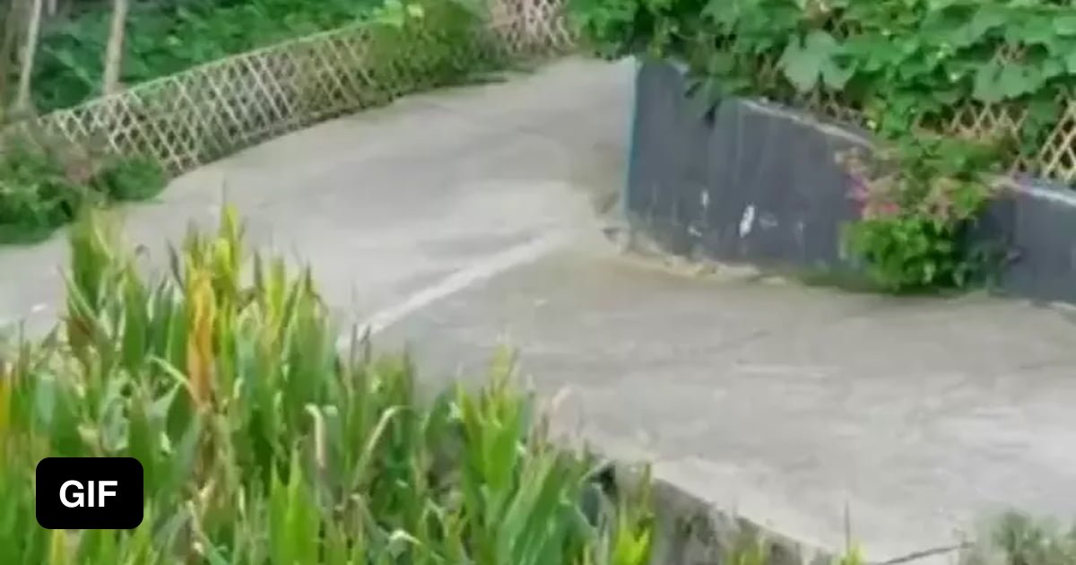 Dumb and dumber 9GAG