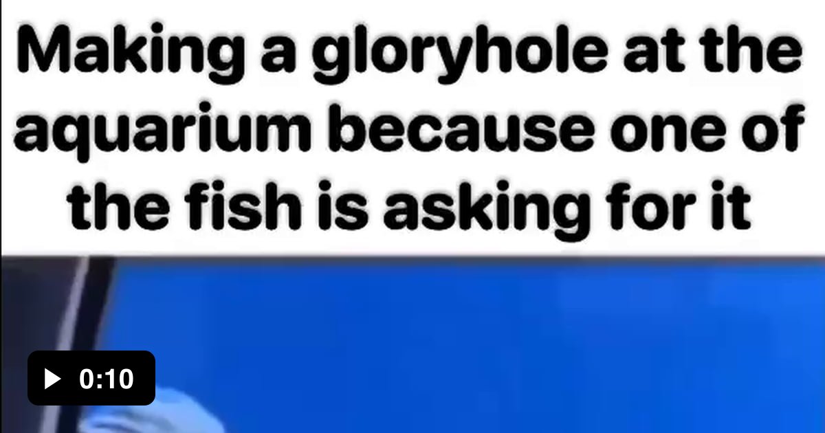 12 Yr Old Me On My School Field Trip 9GAG my-school-essay-essay-on-my-school-english-15-lines-youtube