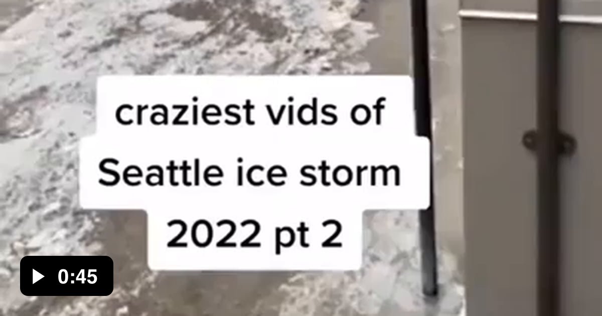 Seattle Ice Storm Videos Funny