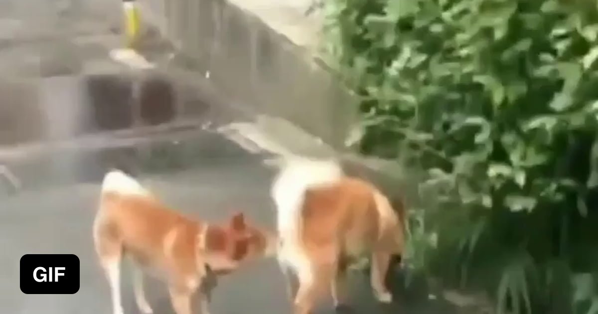 World Is My Territory Meaning In Tamil World Is My Territory Meaning In Tamil